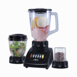 Anex Blender with Grinder