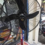 Sufi Pedestal Fans